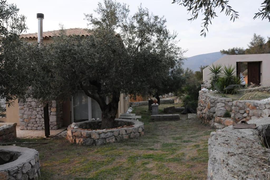 Melolia Estate Apartment Thebes Room photo